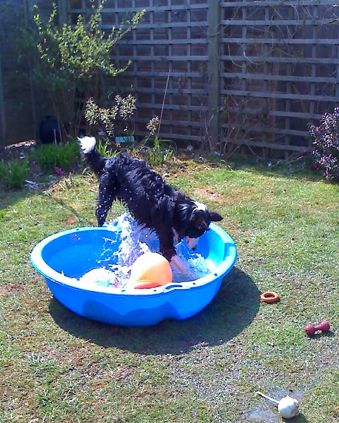 Skye_with_paddling_pool_small.jpg